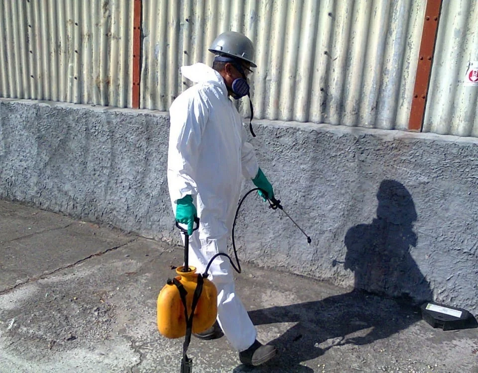 Dedetizadora no Bairro