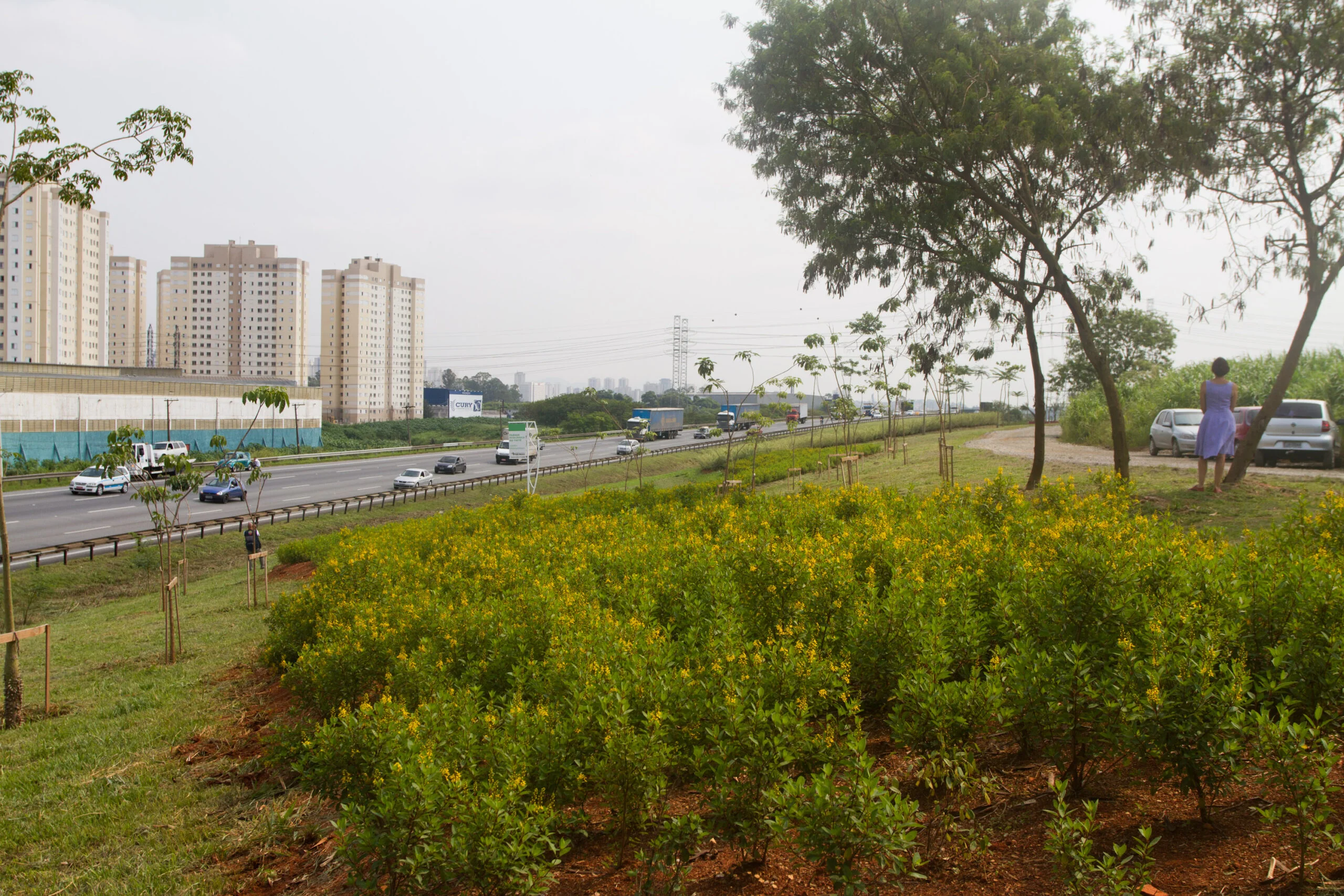 Desentupidora no Jardim Metropolitano